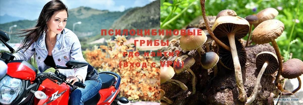 крисы Михайловск