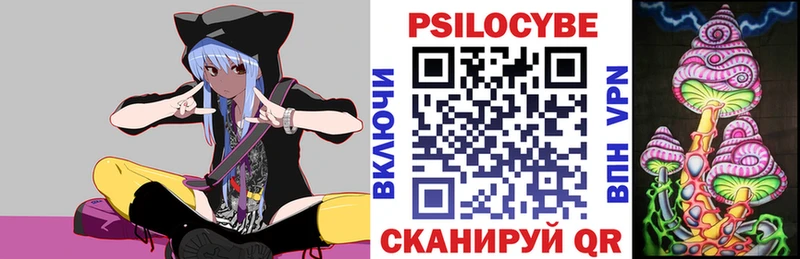 дарнет шоп  Нерчинск  Псилоцибиновые грибы Psilocybe 