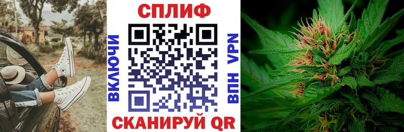 Канабис семена  Нерчинск 